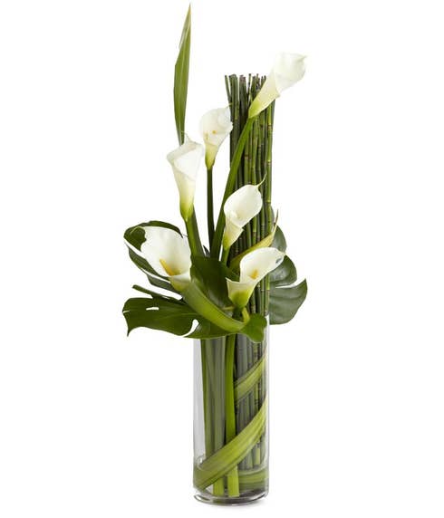 White calla lilies in cylinder vase with greens