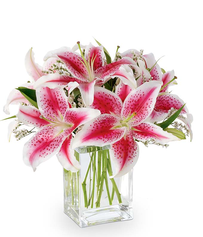 Pink stargazer lily bouquet for same day flowers with cheap flowers online