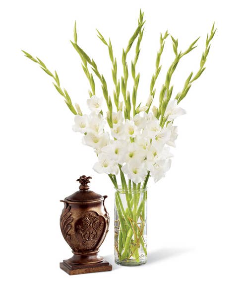 Funeral arrangement with white gladiolus flowers in cylinder vase 