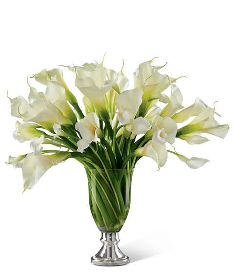 Calla Lilies delivered in a artful arrangement for the holiday season