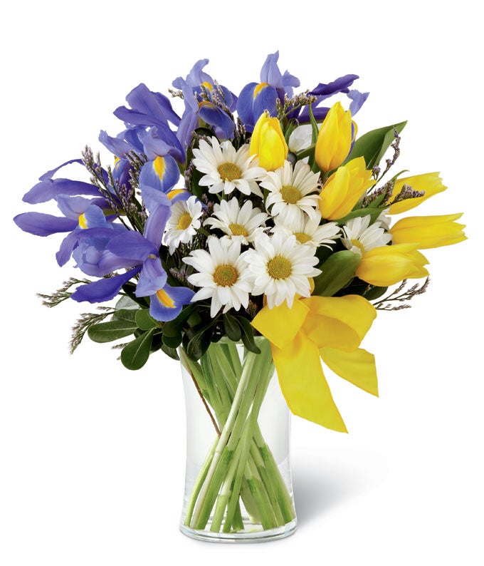 A Bouquet of Yellow Tulips, Blue Iris, and White Daisy Poms in a Glass Vase with Yellow Ribbon