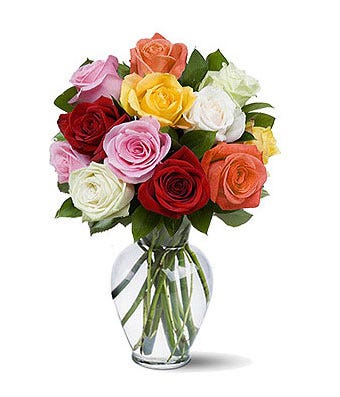 One dozen mixed roses with red, pink, orange and yellow roses