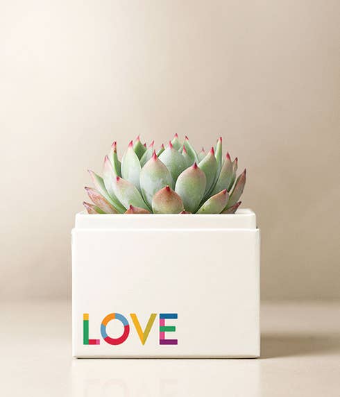 Lula's Garden ® Pride Month Celebration Bliss Garden