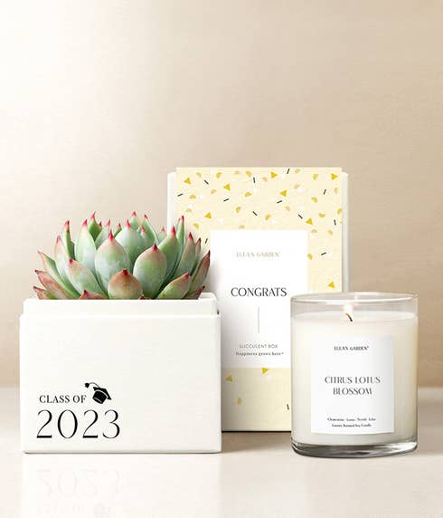 Lula's Garden® Class of 2022! Bliss Succulent Garden Gift Set