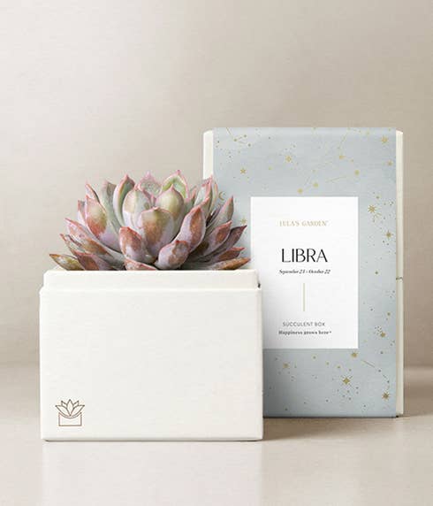 Lula's Garden ® Libra Birthday Bliss Succulent Gift
