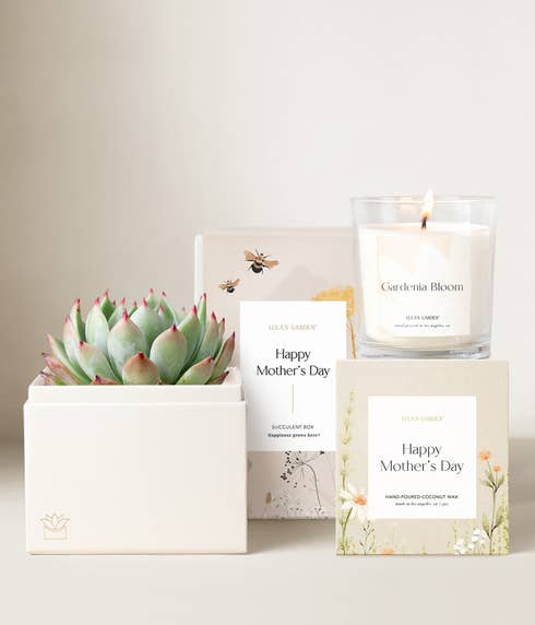 Lula's Garden ® Mother's Day Bliss Succulent Garden Gift Set