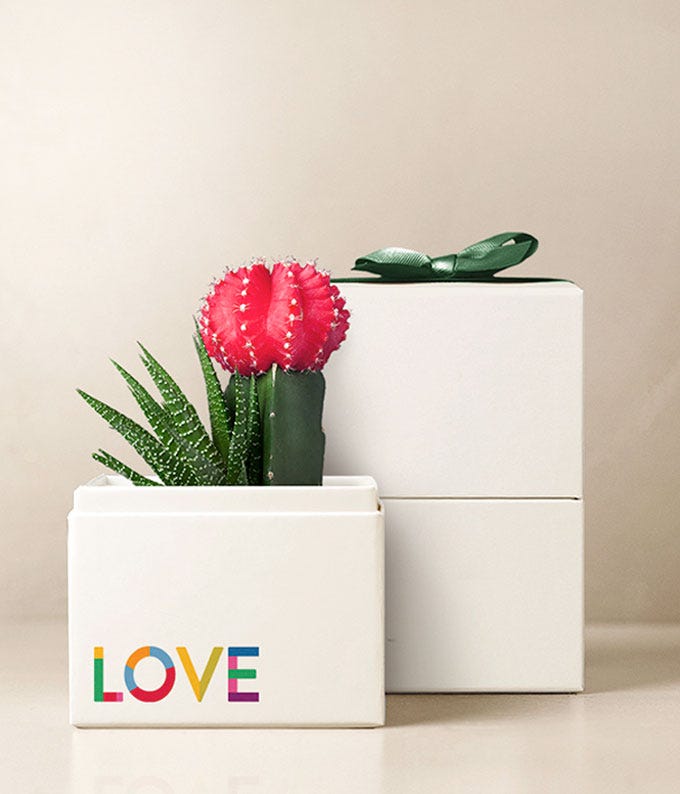Lula's Garden ® Pride Month Celebration Rosé Garden