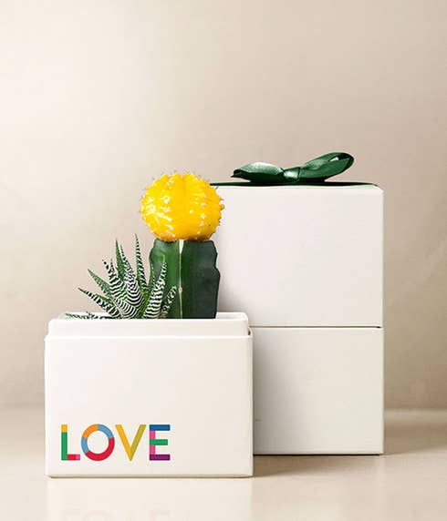 Lula's Garden ® Pride Month Celebration Ray Garden