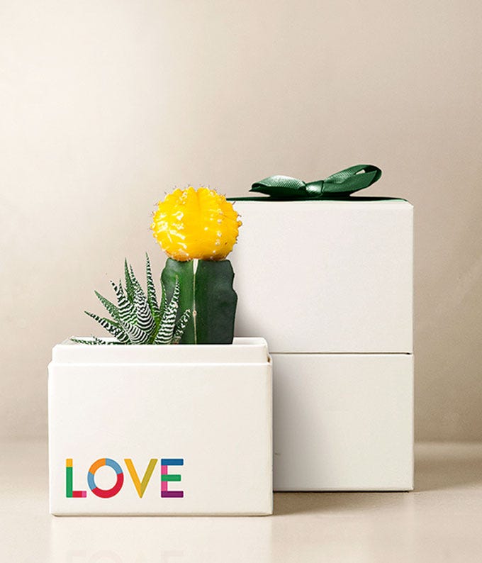 Lula's Garden ® Pride Month Celebration Ray Garden