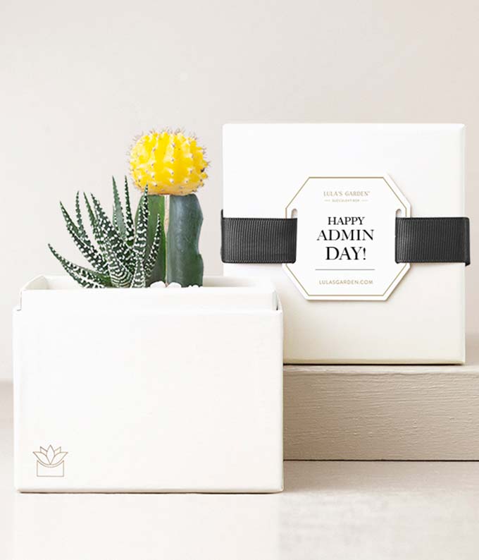 Lula's Garden ® Admin Day Ray Succulent Garden