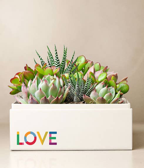 Lula's Garden ® Pride Month Celebration Urban Garden