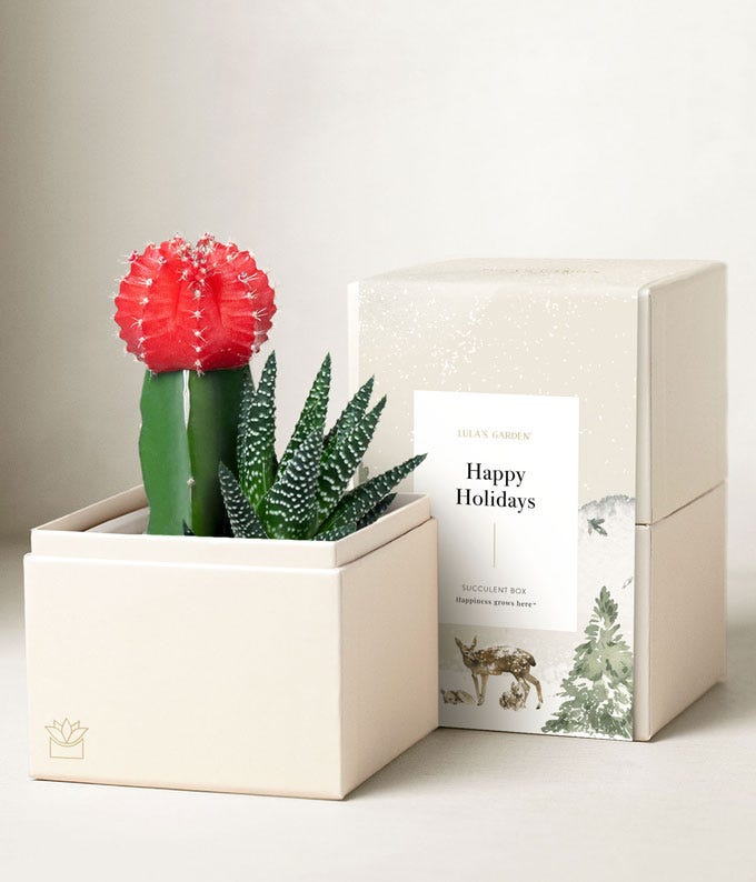 Happy Holidays Joy Succulent Planeter