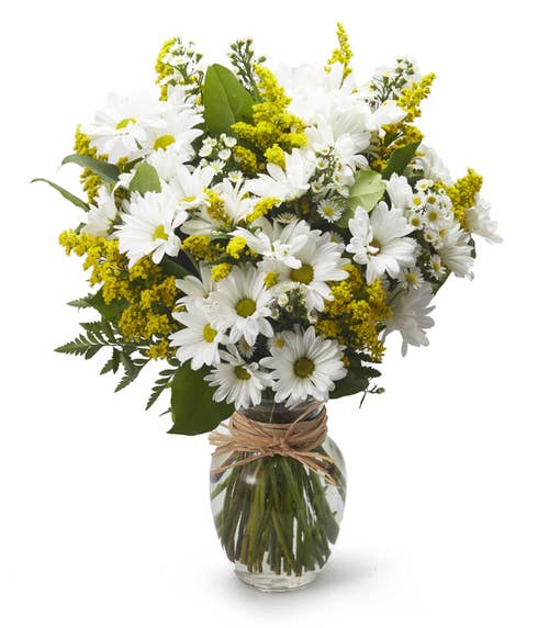 White daisy and yellow solidago bouquet, same-day daisy delivery cheap