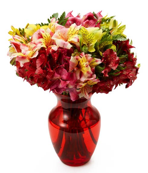 Mixed alstroemeria bouquet with red vase