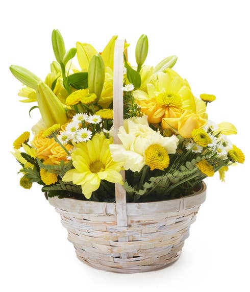 yellow daisy bouquet and flowers in a basket delivery from send flowers