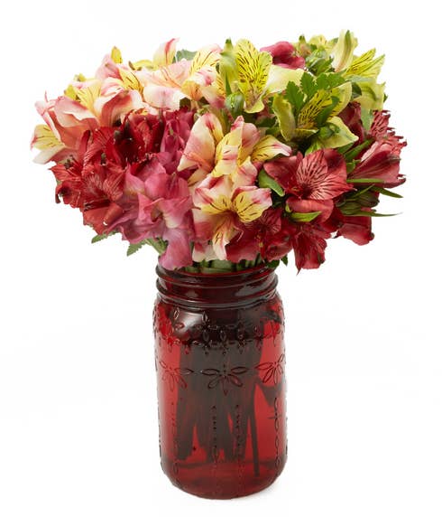 Mixed alstroemeria flower bouquet with red, green, peach and yellow alstroemeria