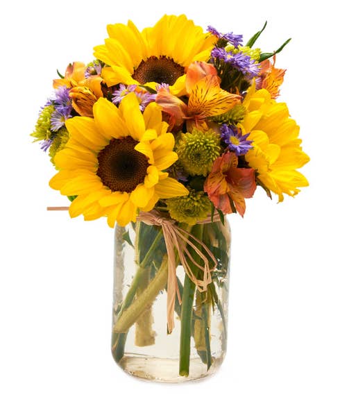 cheap sunflowers delivery, large sunflowers inside a mason jar arrangement