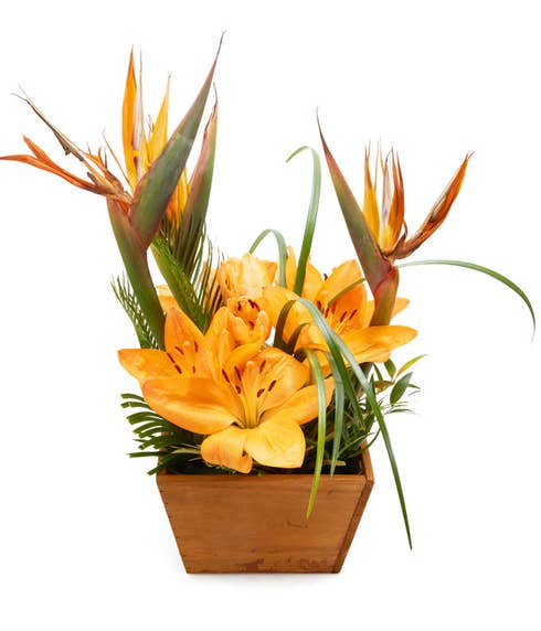 Green plant with orange lilies delivered in a wooden box vase