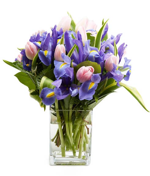 Same day delivery iris bouquet with pink tulips for same day flower delivery