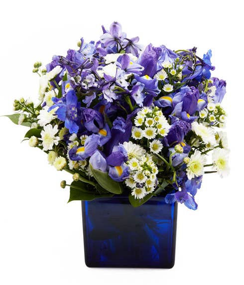 Blue flower bouquet with blue iris and white daisies and white carnations