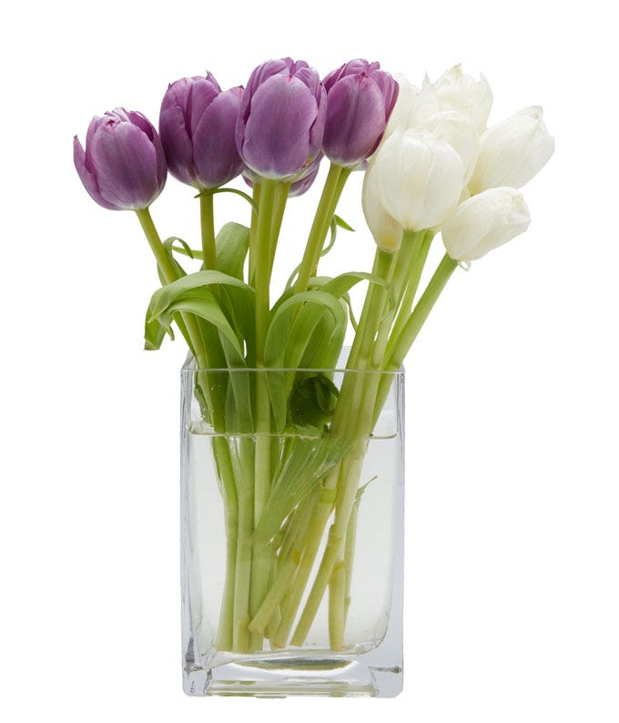 Modern White Tulip And Purple Tulips Bouquet 