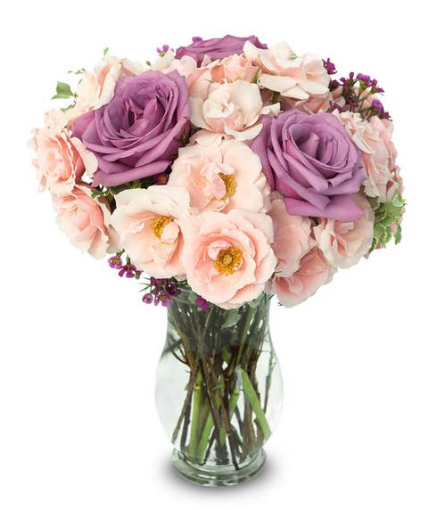 Purple roses and pink spray roses in a glass vase 