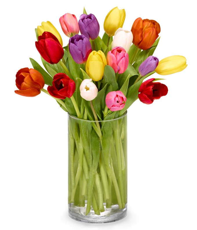 A Bouquet of Rainbow Tulips in a Glass Vase with Card Message