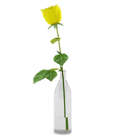 One single yellow rose bouquet inside a tall slim glass flower vase