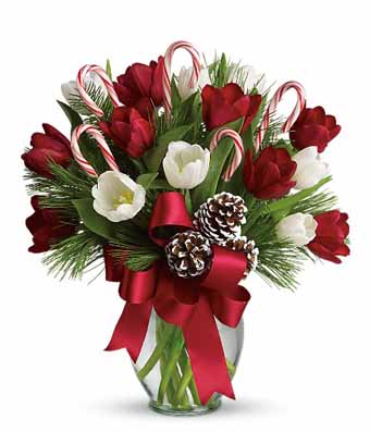 Red tulips, white tulips and candy cane bouquet