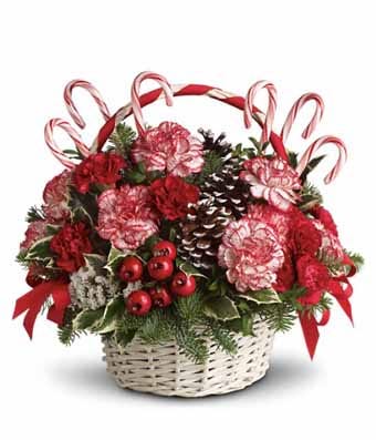 Candy Cane Carnation Christmas