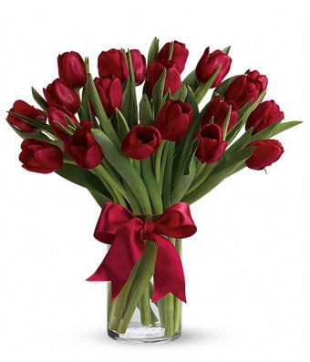 A bouquet of Deep-Red Tulips in a Clear Cylinder Vase with a Scarlet Satin Ribbon