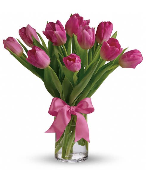 All pink tulips in a glass vase with a bow