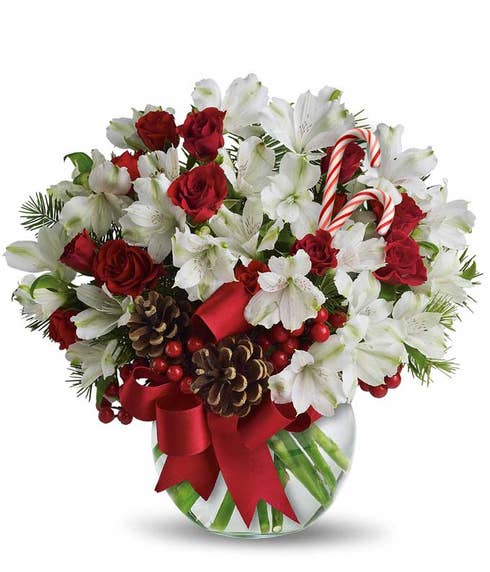 White alstoemeria, pine cones and red hypericum berries in a vase