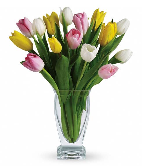 Tulip Bouquet delivery and tulips delivery from send flowers in glass vase