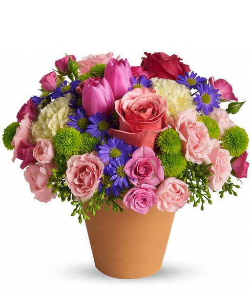 Mixed spring bouquet in a terra cotta pot with pale roses, pink tulips, yellow carnations