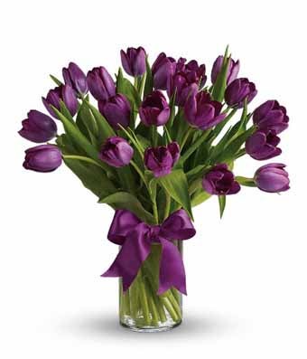 A bouquet of Deep Purple Tulip Stems on Clear Cylinder Vase with a purple ribbon