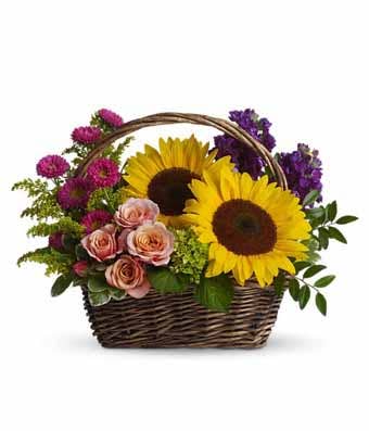 Mixed sunflowers, purple stock, green hydrangea and peach rose basket bouquet