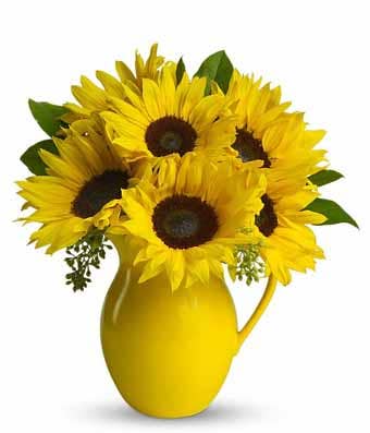 Yellow sunflower pitcher flower bouquet with yellow water pitcher and sunflowers
