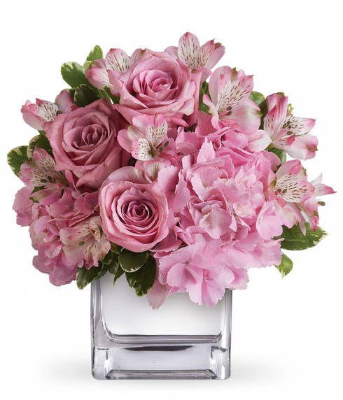 Flowers free delivery and get your cheap flowers delivered by send flowers