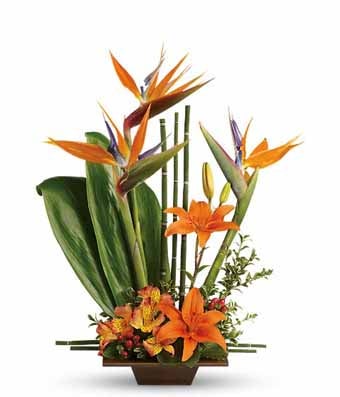 Birds of paradise topiary bouquet