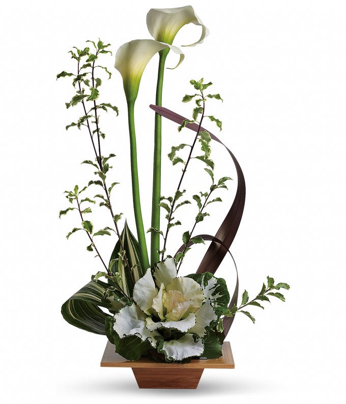 White Calla Lilies, Aspidistra, Kale, and Brown Flax in a Natural Bamboo Dish