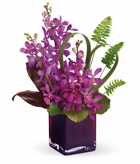 Mokara orchids delivery, beautiful purple mokara orchid bouquet, purple orchids