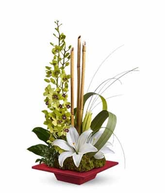 green dendrobium orchids bouquet, a zen flower topiary delivery same day