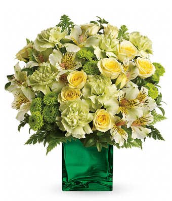 Pale green flower bouquet with cheap flowers, light green carnations and light yellow roses delivery
