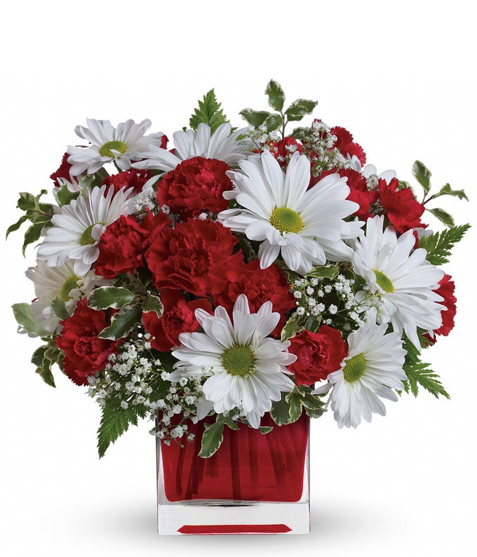 A Bouquet of  Red Mini Carnations, White Daisy Mums, Lush Greens and Babies Breath in a Crimson Glass Cube Vase