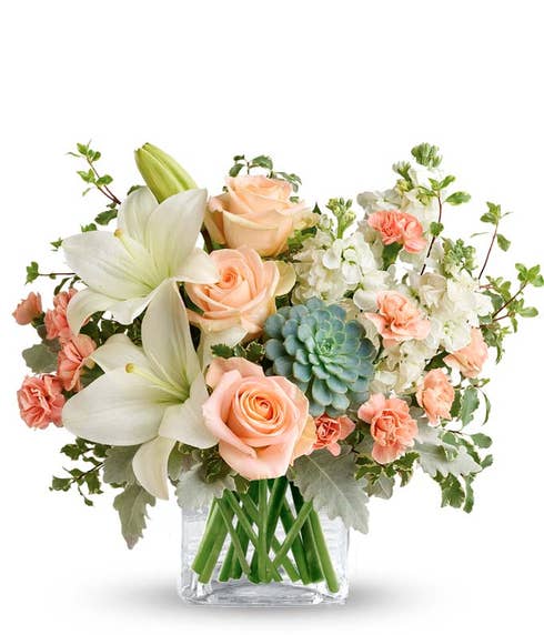 Floral arrangement featuring peach roses, white Asiatic lilies, peach mini carnations, white stock, pitta negra, dusty miller, and a green echeveria succulent in a glass cube vase.