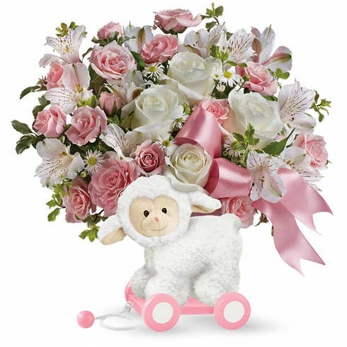 Baby bouquet and flowers for new baby at send flowers