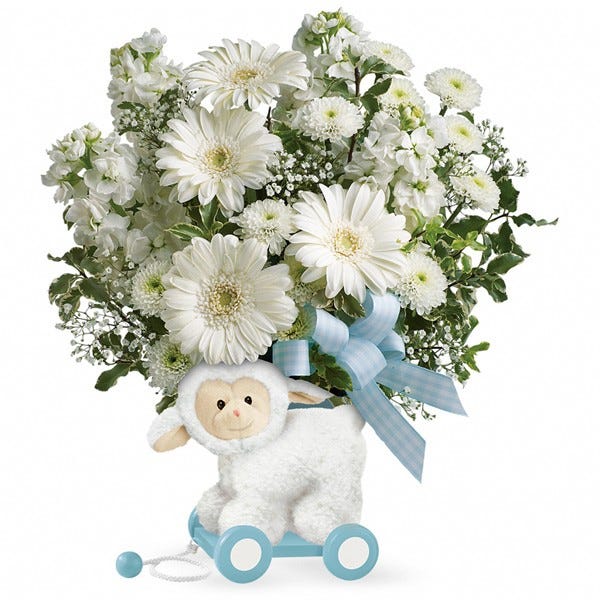 Send flowers has flowers for new baby and new baby flowers