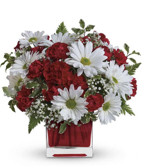 Red and white floral arrangement featuring red carnations and white daisies with greenery, arranged in a red cube vase. A bright and simple Christmas design perfect for gifting or decorating during the holiday season.