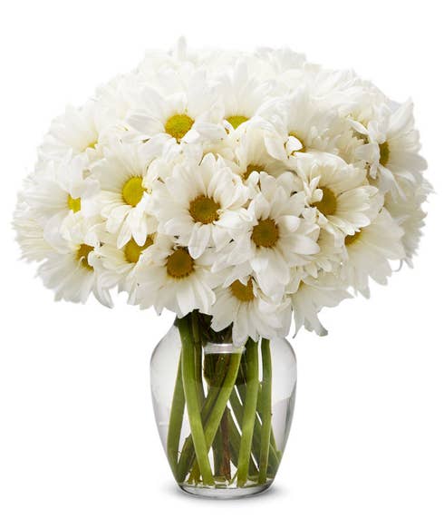 small flower bouquet delivery and traditional cheap white daisy bouquet